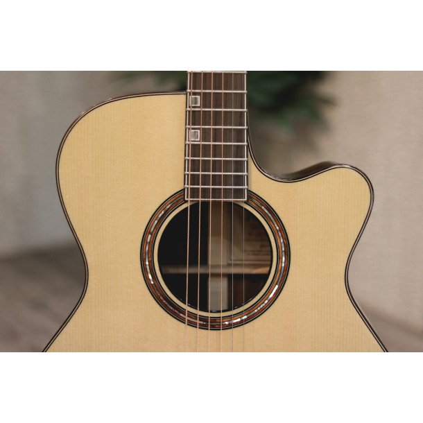 Fonzo V-201S OM Cutaway